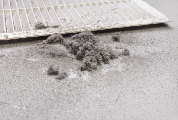 Air Duct Mold Removal in Benton Harbor, MI