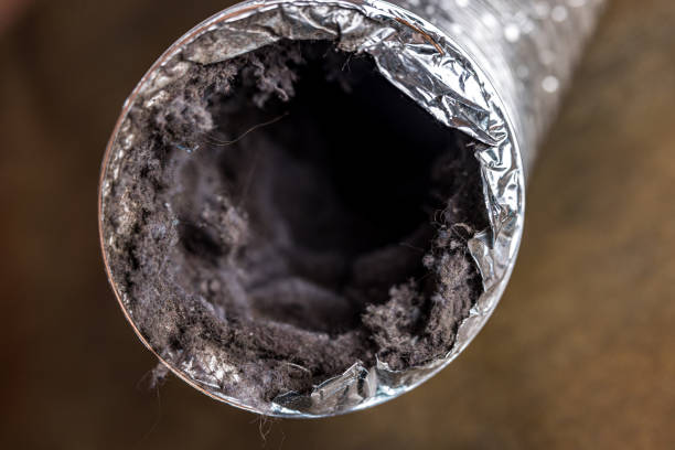 Best Air Duct Cleaning Near Me  in Benton Harbor, MI