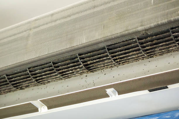Best Affordable HVAC Duct Cleaning  in Benton Harbor, MI